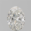 Oval 1.01 G SI1 - #916742