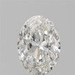 Oval 1.01 G SI1 - #916742