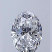 Oval 0.50 D IF - #916292