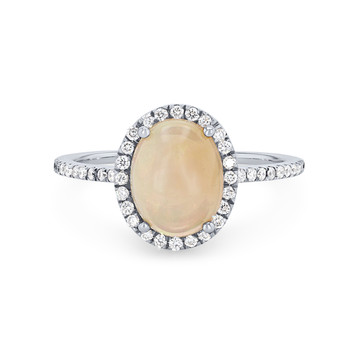 RNGSP01180