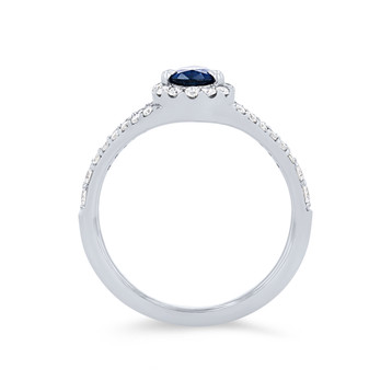 SAPPH02930-U