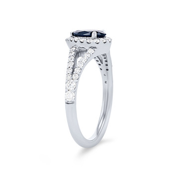 SAPPH02930-A