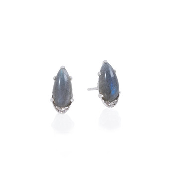 TACSS00813