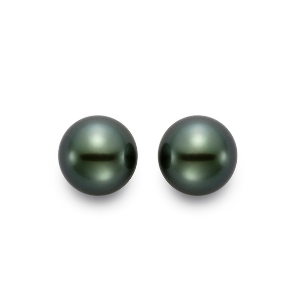 Tahitian Pearl Stud Earrings
