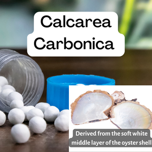Calcarea carbonica derived from soft white middle layer of the oyster shell, fine crystalline calcium and other minerals