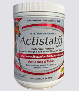 Actistatin