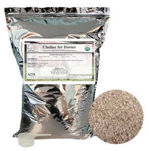 Choline-Organic Choline-Organic