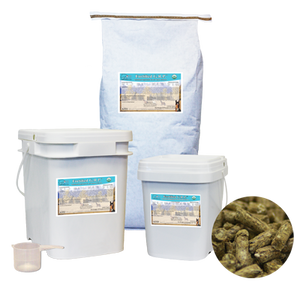 FORTIFIED-GRP-TRANSPARENT3-SMALL FORTIFIED-GRP-TRANSPARENT3-SMALL