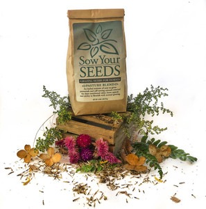 Sow your seeds1 Sow your seeds1