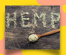 Nutritious Hemp Seeds Are a Good Source of Protein – Yes, for horses too!