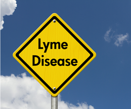 Lyme Disease in the Equine Lyme Disease in the Equine