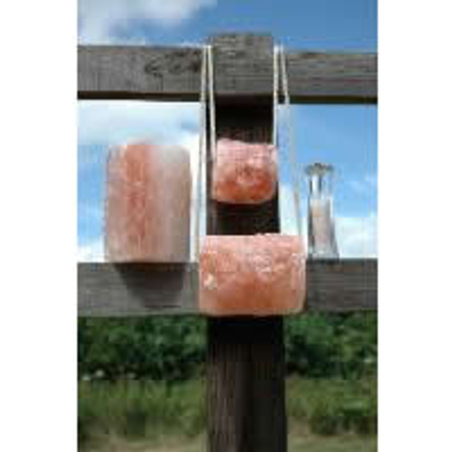 Himalayan Salt LickBlock