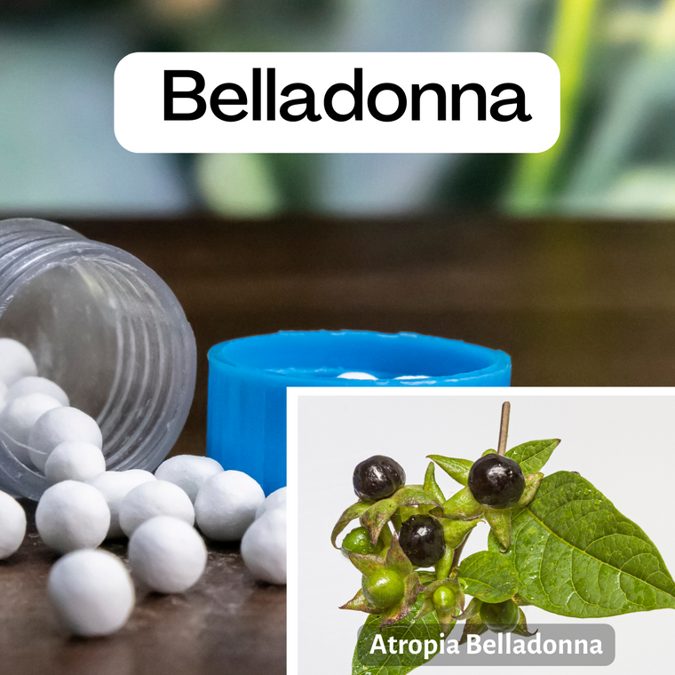 Belladonna-homeopathic