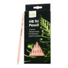 Icon HB Pencil Triangular Natural, Pack of 12