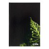Icon Casebound Hard Cover Notebook A4 Black 200 pg (3 Pack)