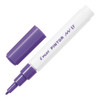 Pilot Pintor Marker Extra Fine Violet (SW-PT-EF-V) (6 Pack)