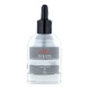 Jacques Herbin Eclats Pigmented Ink Silver 50ml