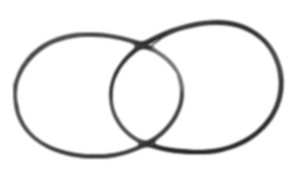 Replacement Belt Set (2) for Economy Wimshurst Machine Replacement Belt Set (2) for Economy Wimshurst Machine
