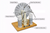Wimshurst Machine Parts Diagram