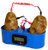 Potato or Fruit Clock Potato or Fruit Clock