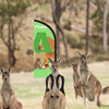 A green Feather Backpack Flag with animal graphics stands among kangaroos in a natural landscape.