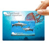 A promotional credit card-shaped flash drive featuring a blue underwater scene with sharks and jellyfish, including a logo.