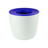 A mini desk plant pot in white with a blue rim, featuring a smooth, modern design. It has a logo on the surface.