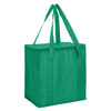 A green non-woven cooler bag with a zipped lid and two sturdy handles. It has a logo on the side.