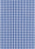 A fabric featuring a blue and white checked pattern, suitable for shirts or similar garments.