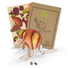 A wooden kangaroo model in brown, featuring various pieces and a design template, presented in a cardboard package with a logo.