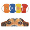 A set of four rope frisbees in orange, blue, yellow, and red, featuring different logos and a dog's face in the foreground.