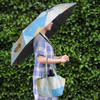 A folding umbrella in blue and white, held by a person wearing a checkered dress, standing against a green backdrop.