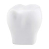 A white tooth-shaped stress reliever with a smooth texture and rounded edges, suitable for stress relief.