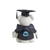 A plush bear in a graduation cap and gown, holding a pen. The bear is wearing a black robe with a logo on the back.
