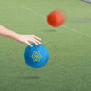 A blue inflatable PVC ball with a logo in a grassy outdoor setting, alongside a red ball in motion.