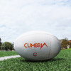 A white rugby ball with an orange logo on a grass field under a cloudy sky.