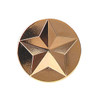 A gold die struck lapel pin with a star design, featuring a shiny finish and a round shape.