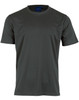 A grey short sleeve tee featuring a smooth texture and a logo on the neckline. Suitable for kids.