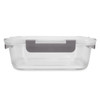 A clear lunch box with a grey handle, featuring a secure lid for storage. It has a simple, modern design.
