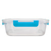 A clear lunch box with a blue handle, featuring a sturdy lid and transparent design.