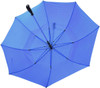 A blue Deluxe 30 auto golf umbrella with a sturdy handle and a compact design. Features a logo on the canopy.