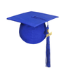A blue mortarboard graduation cap with a gold tassel and the year 2023 attached. It has a logo on the side.