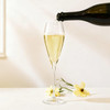 A champagne glass with a flared tulip shape is being filled with sparkling wine, accompanied by a yellow flower.