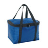 A blue cooler bag with a zip closure and black handles, featuring a sturdy rectangular shape.