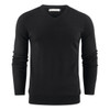 A black men's v-neck sweater with long sleeves, featuring a logo on the label.