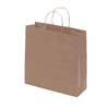 A large brown kraft paper bag with twisted paper handles, featuring a simple design.