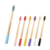 A set of large conical handle colourful toothbrushes in various hues, including pink, yellow, purple, and black, with a branding logo.