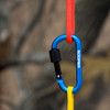 A blue D-shaped screw lock keychain attached to red and yellow ropes, featuring a logo.