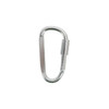 A silver D-shaped camping carabiner with a screw lock mechanism and a smooth finish.