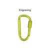 A green D-shaped camping carabiner with a silver logo and an engraving area for custom designs.